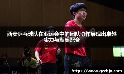 西安乒乓球队在亚运会中的团队协作展现出卓越实力与默契配合