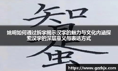 姚明如何通过拆字揭示汉字的魅力与文化内涵探索汉字的深层意义与表达方式