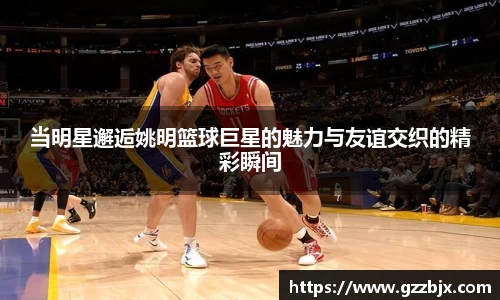 当明星邂逅姚明篮球巨星的魅力与友谊交织的精彩瞬间