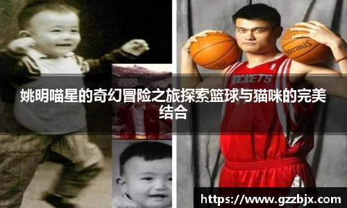 姚明喵星的奇幻冒险之旅探索篮球与猫咪的完美结合
