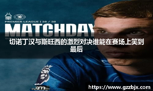 切诺丁汉与斯旺西的激烈对决谁能在赛场上笑到最后